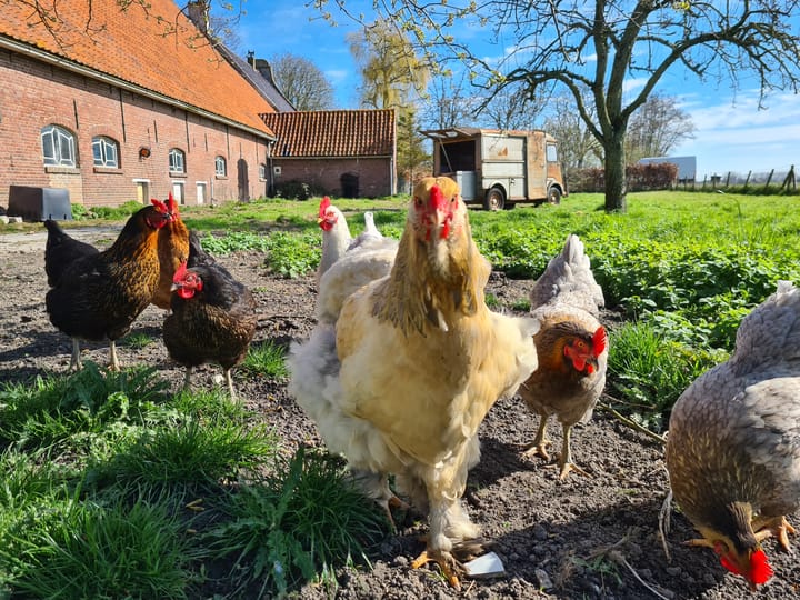 Foto 39 van Breeweg 2