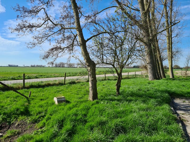 Foto 26 van Breeweg 2