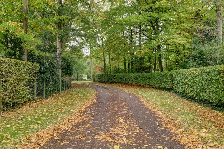 Foto 4 van Zeerust 2