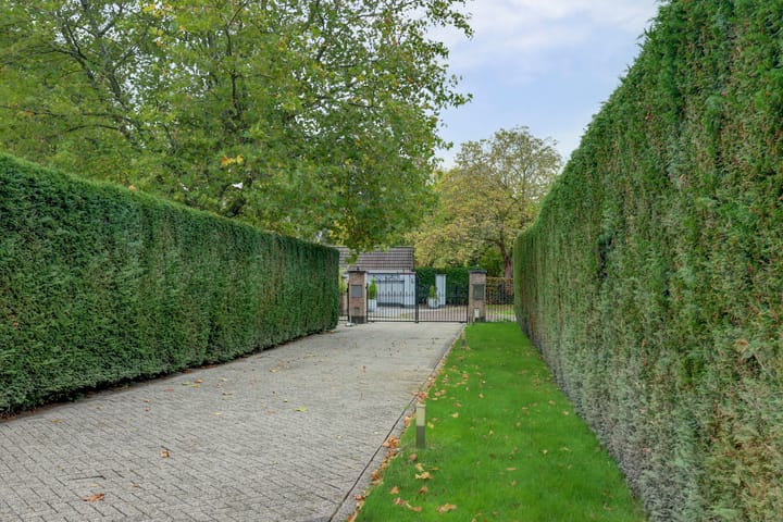 Foto 6 van Zeerust 2