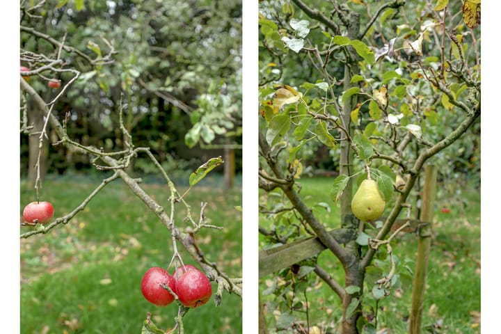 Foto 10 van Zeerust 2