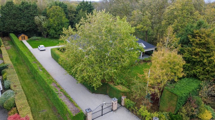 Foto 48 van Zeerust 2