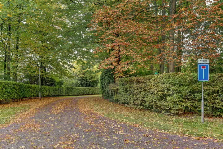 Foto 49 van Zeerust 2