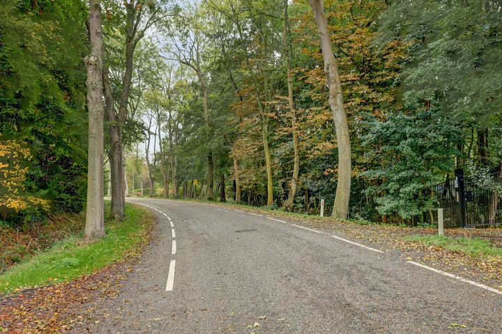 Foto 50 van Zeerust 2