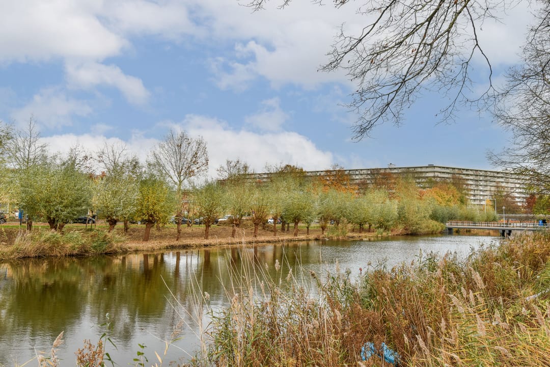 Foto 16 van Kolfschotenstraat 238