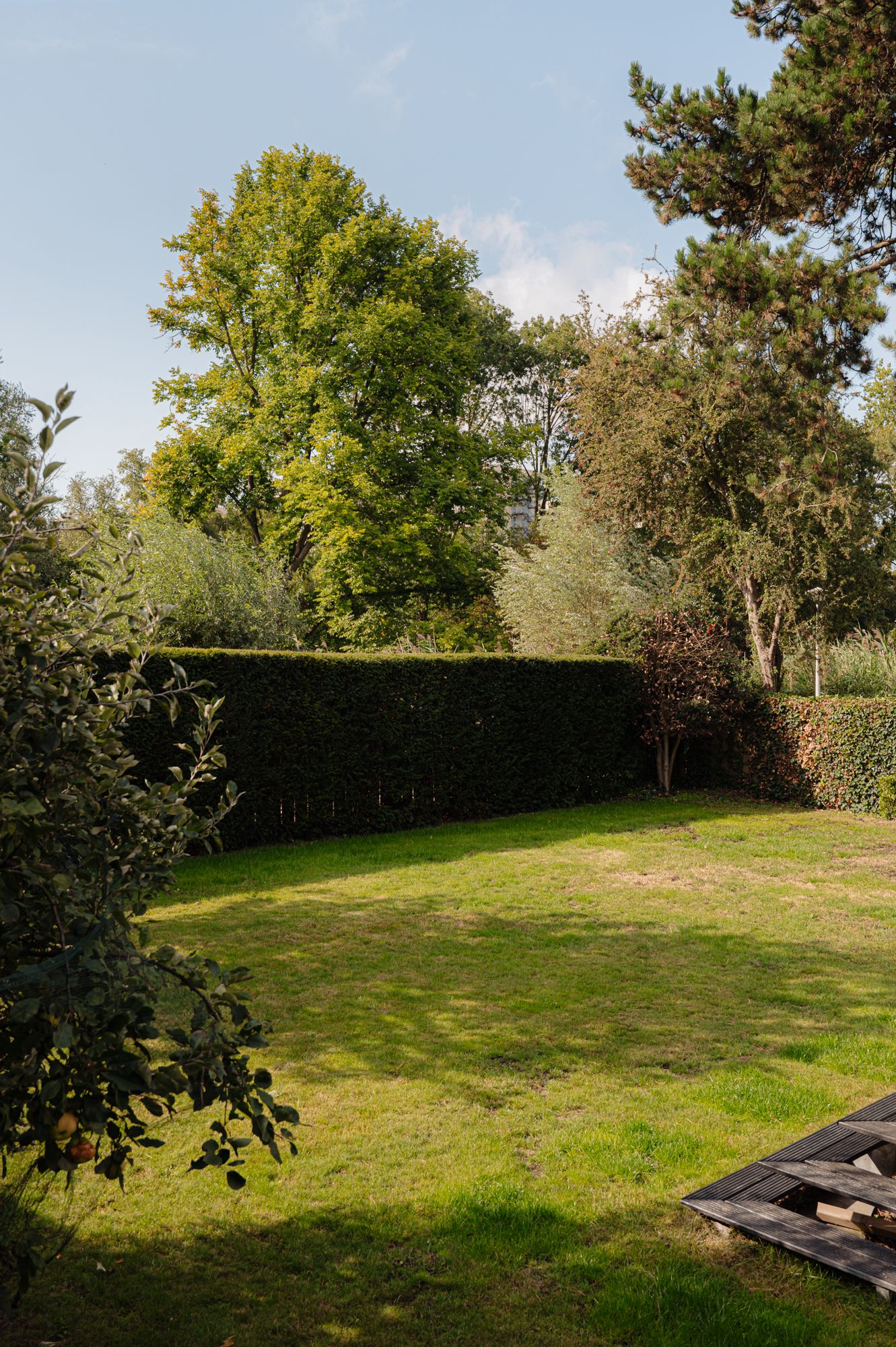 Foto 3 van Reimersbeek 14