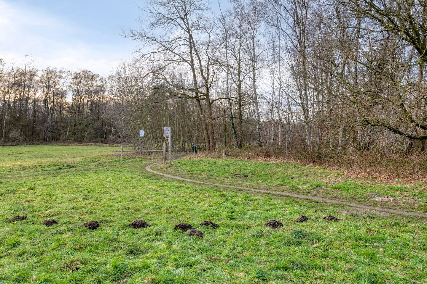 Photo 49 of Geerten Gossaertdreef 1