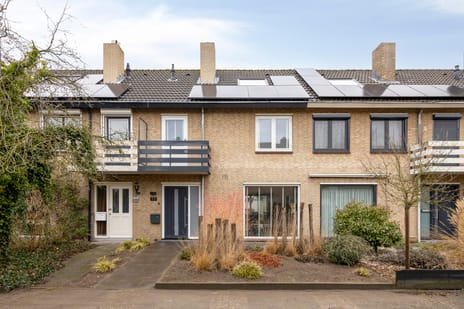 undefined main image