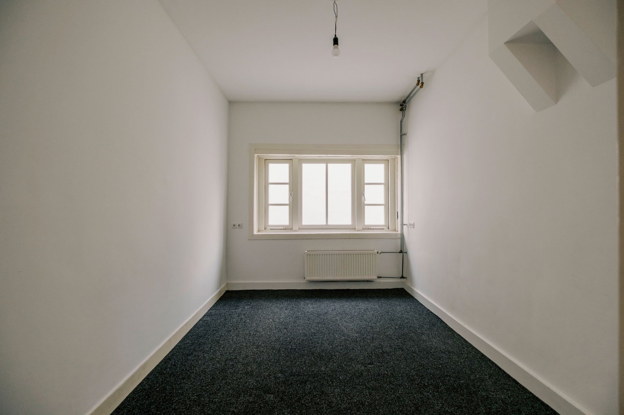 Foto 12 van Begoniastraat 60