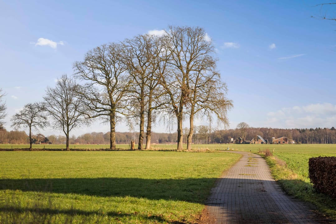 Foto 38 van Scheperboersweg 8