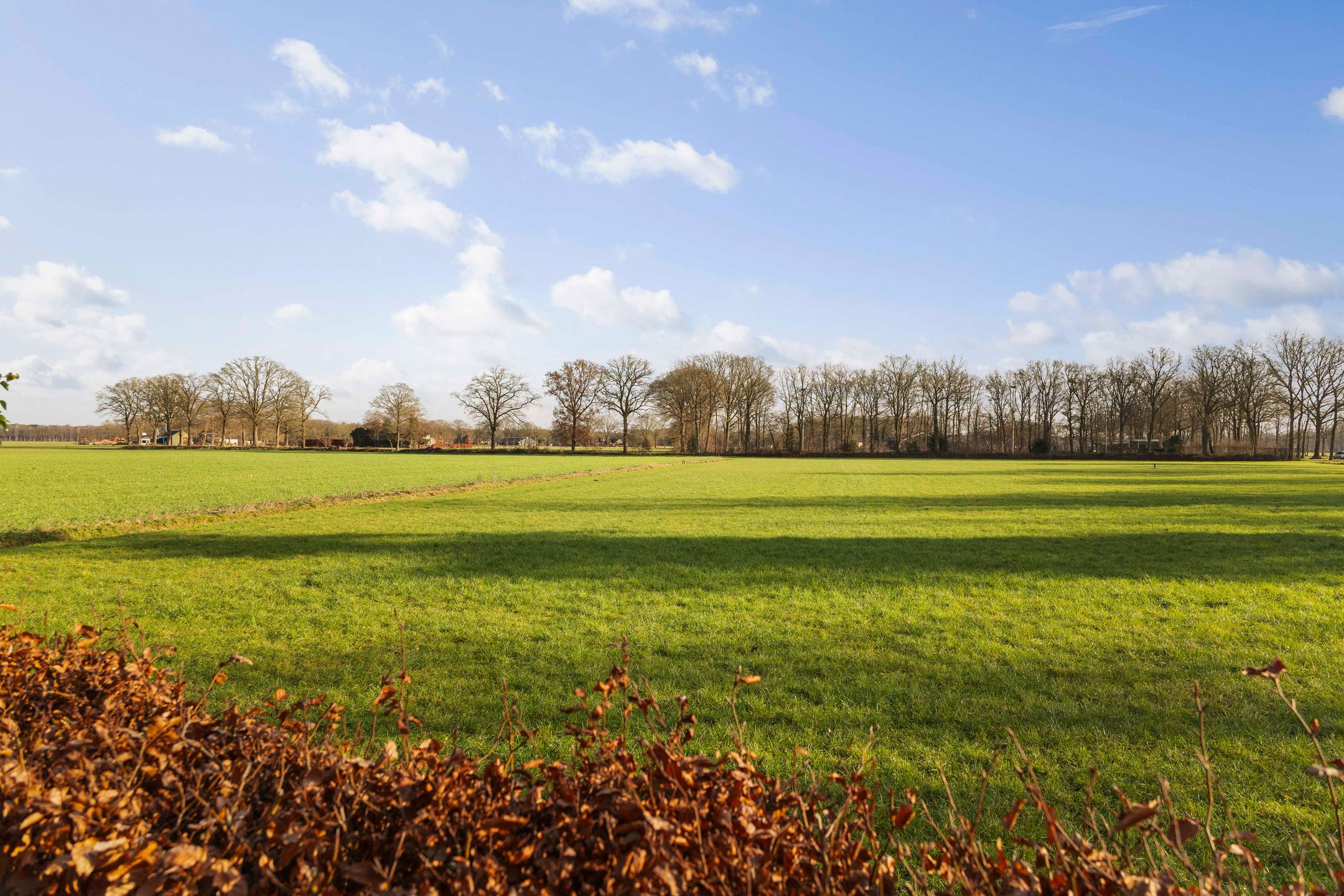 Foto 42 van Scheperboersweg 8