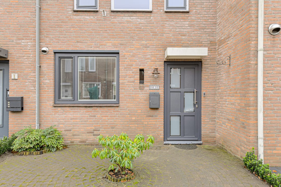 Photo 8 of Sterreschans 3