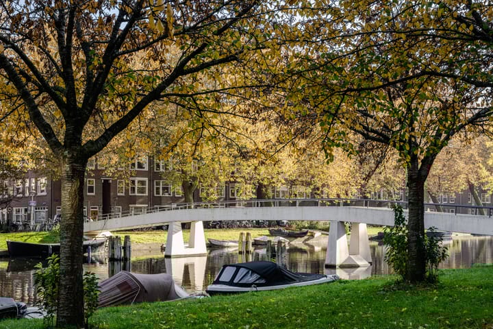 Foto 26 van Poeldijkstraat 381