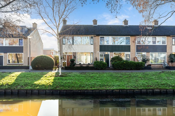 Foto 5 van Pinksterbloem 8