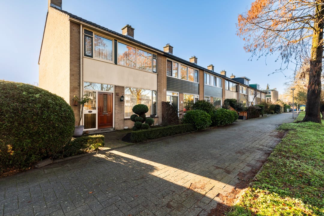 Foto 7 van Pinksterbloem 8