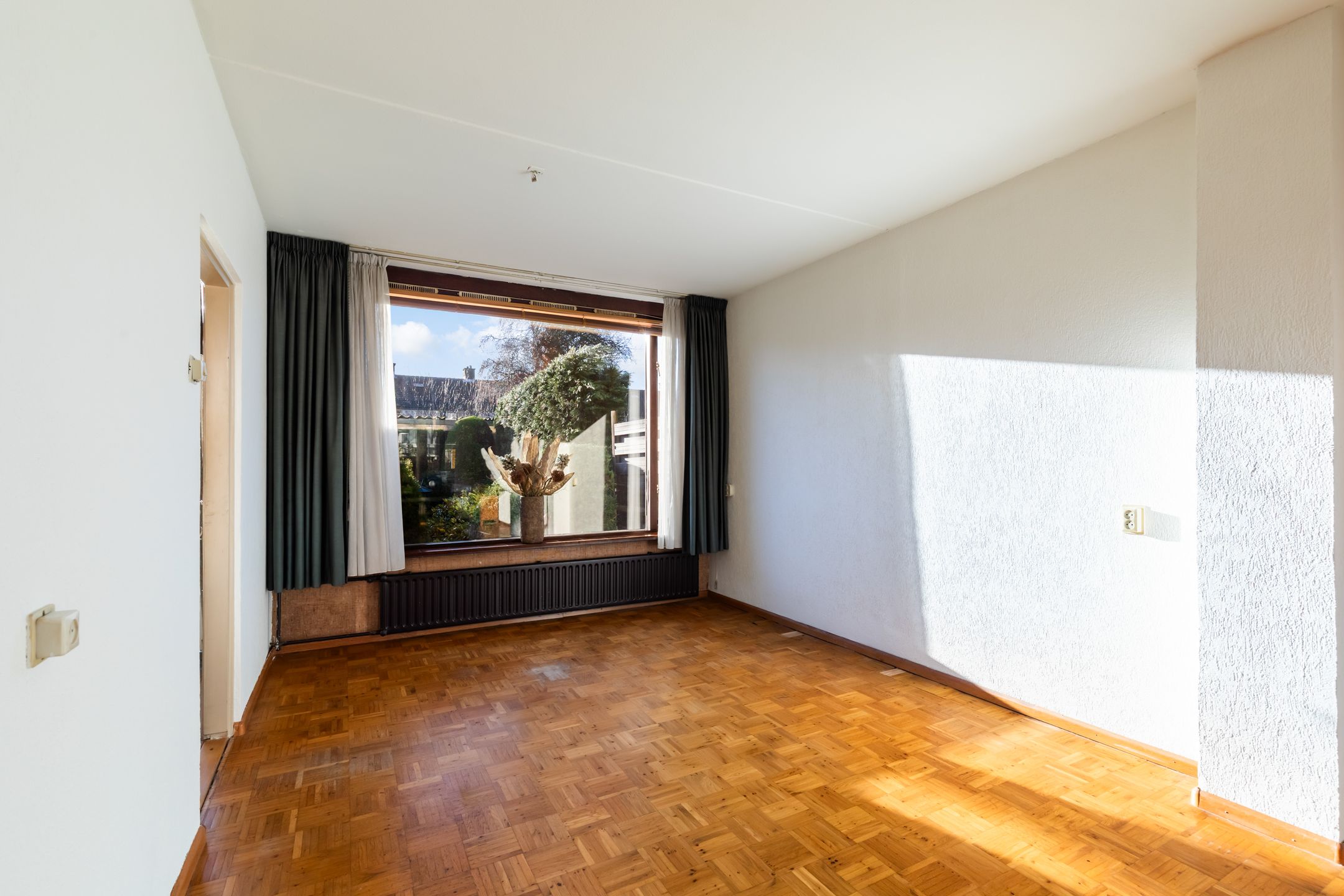 Foto 15 van Pinksterbloem 8