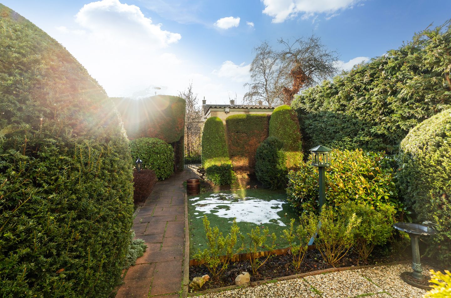 Foto 20 van Pinksterbloem 8