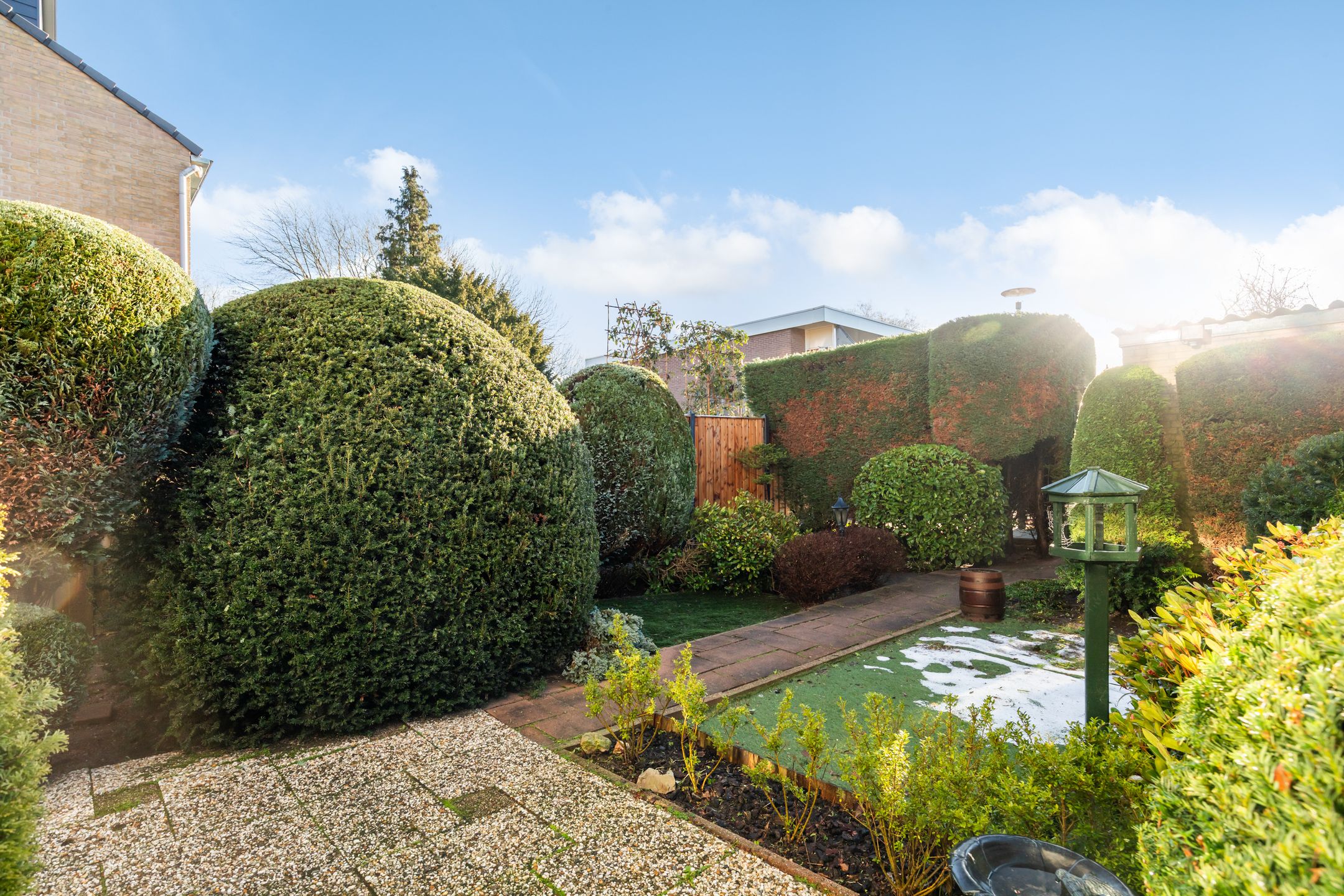 Foto 21 van Pinksterbloem 8