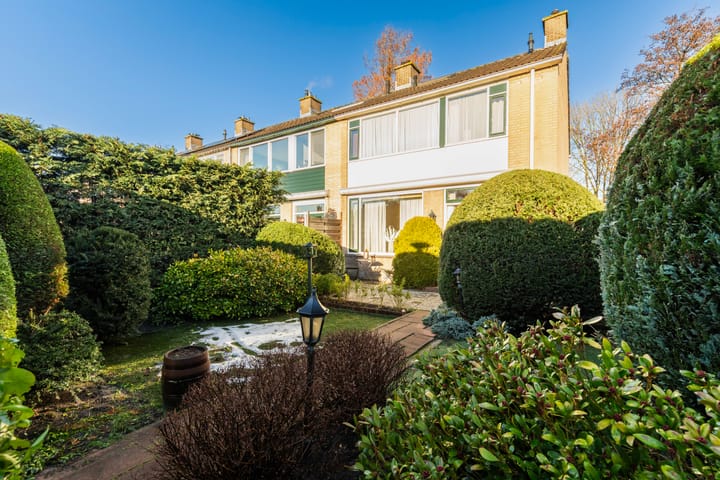 Foto 22 van Pinksterbloem 8