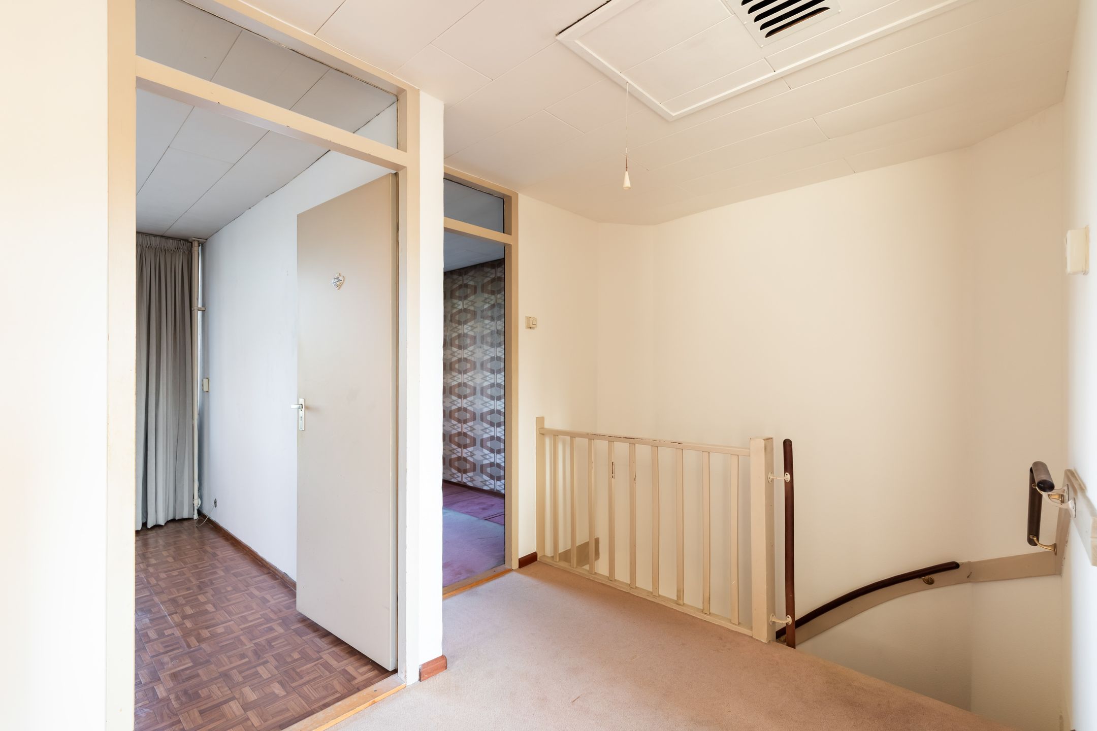 Foto 24 van Pinksterbloem 8