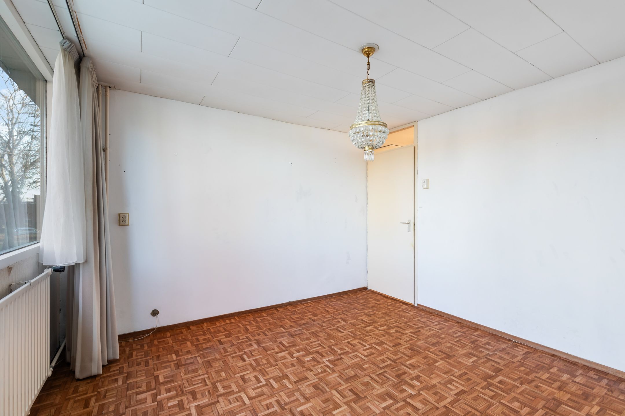 Foto 27 van Pinksterbloem 8