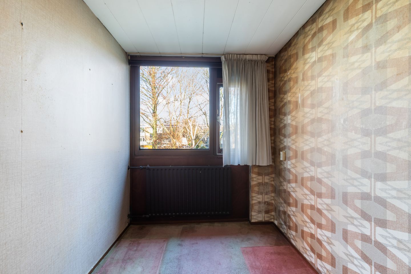 Foto 29 van Pinksterbloem 8