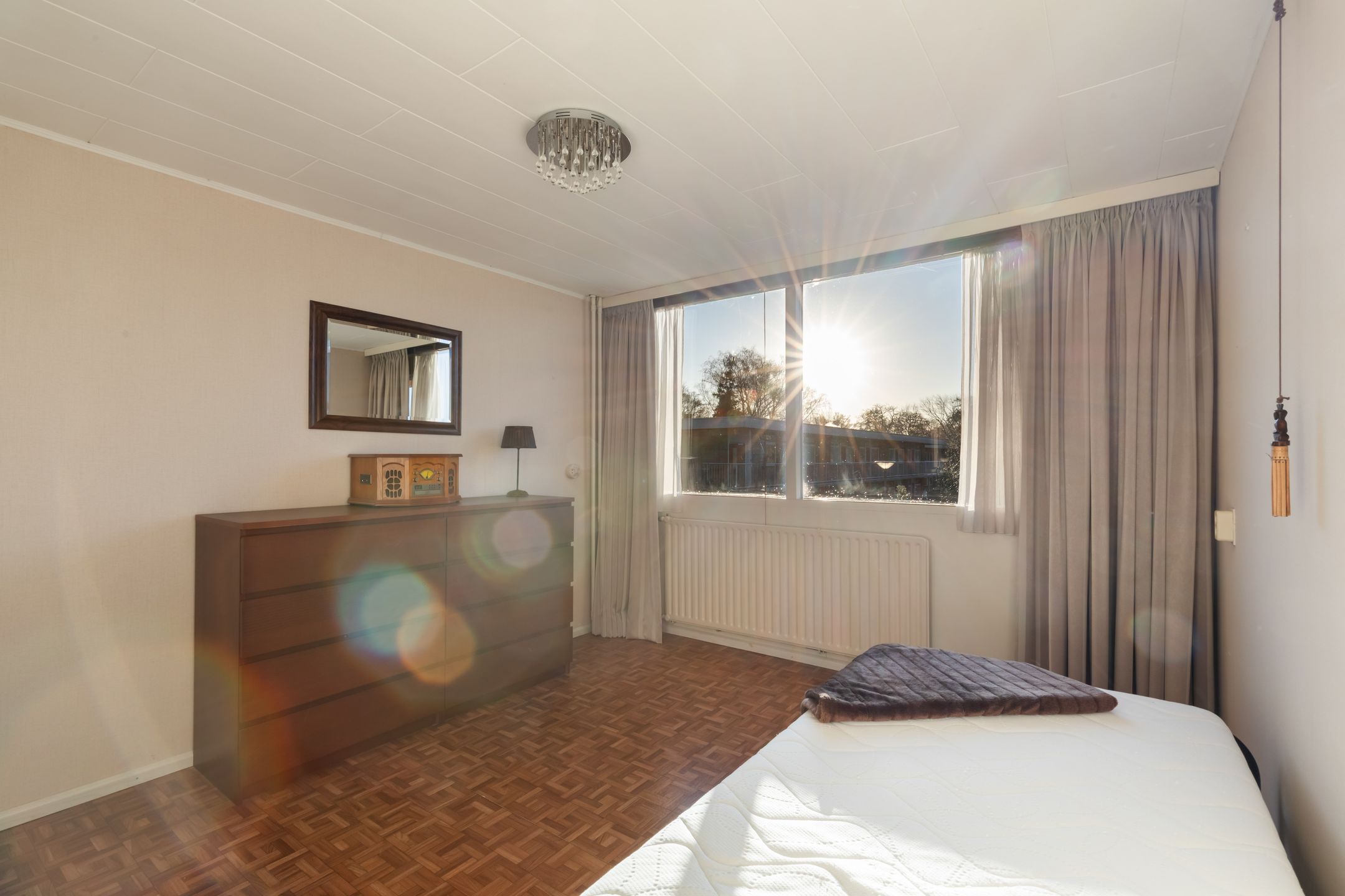 Foto 33 van Pinksterbloem 8