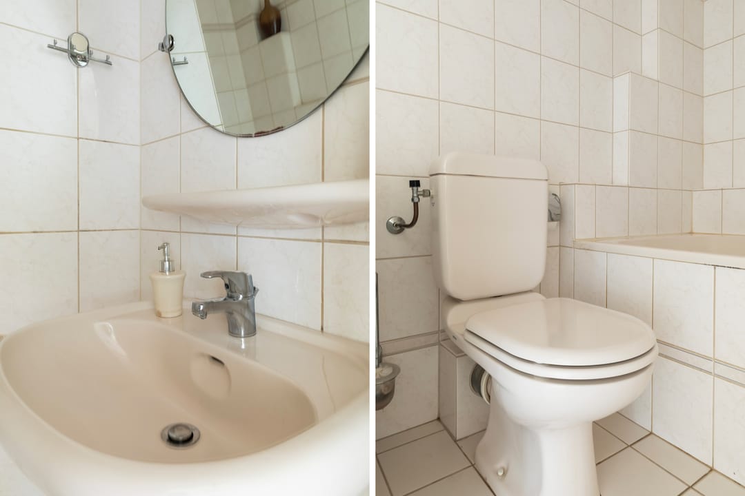 Foto 41 van Pinksterbloem 8