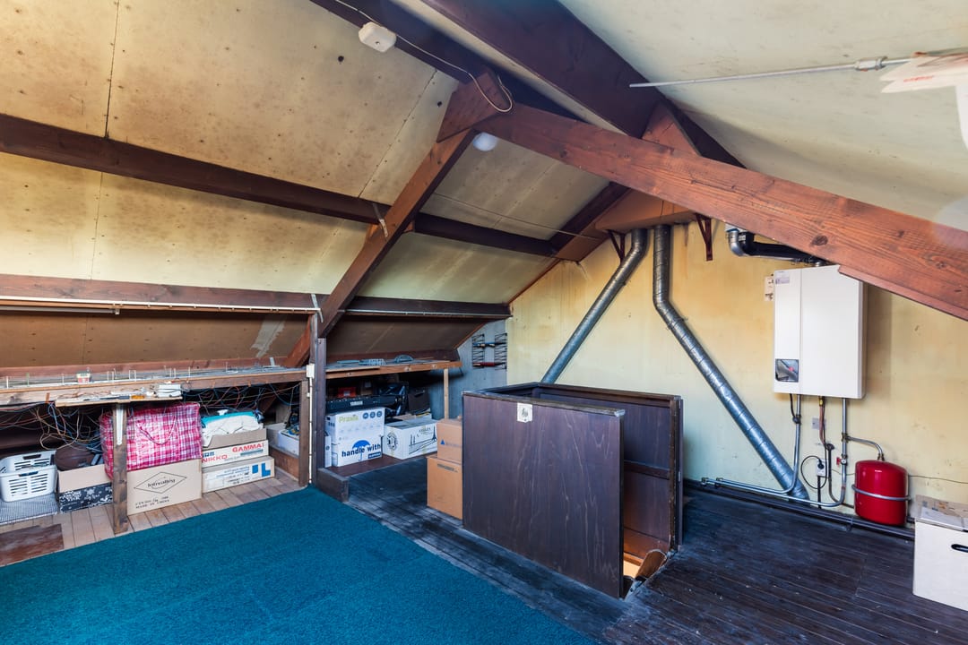 Foto 43 van Pinksterbloem 8