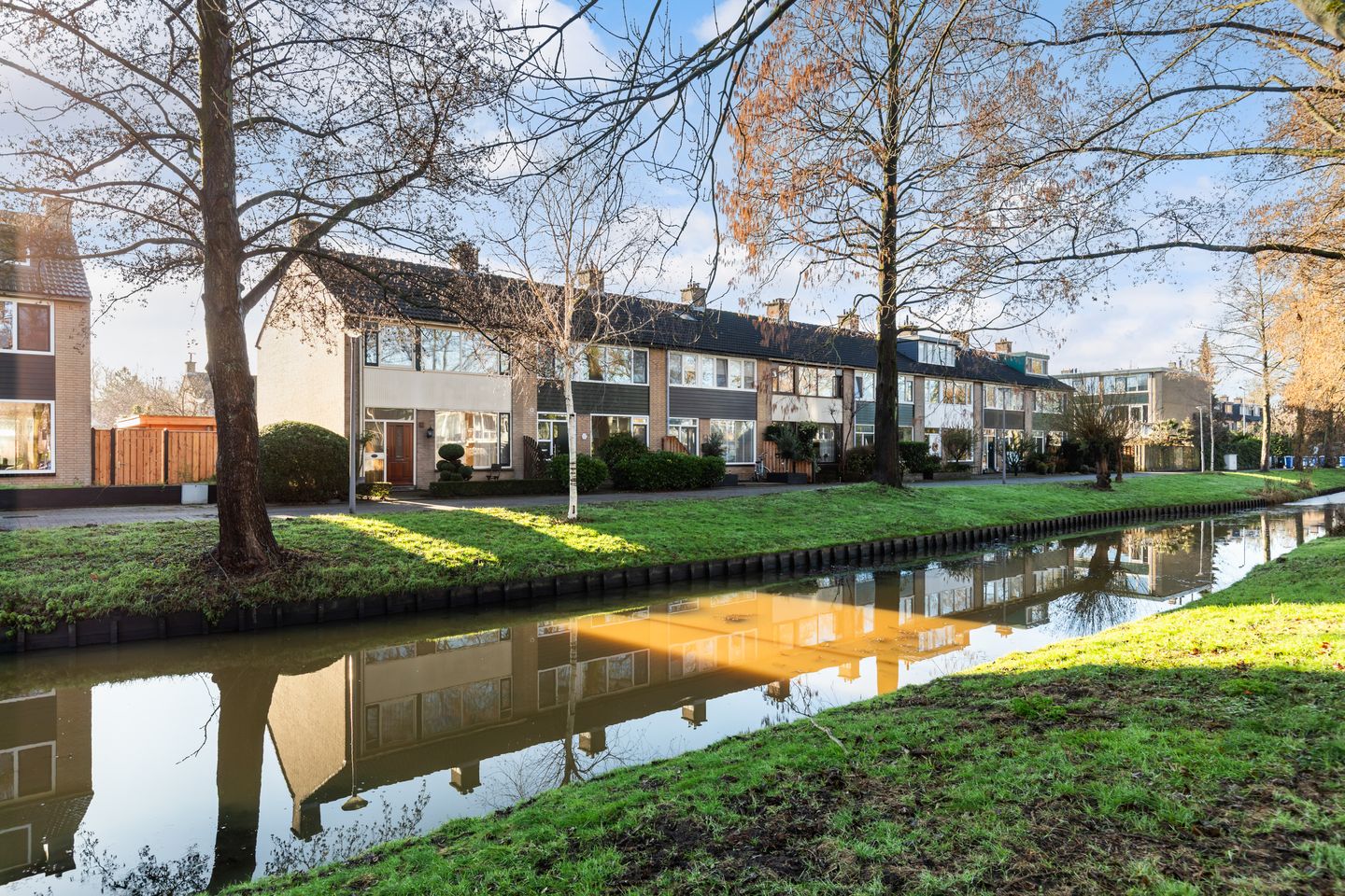 Foto 44 van Pinksterbloem 8