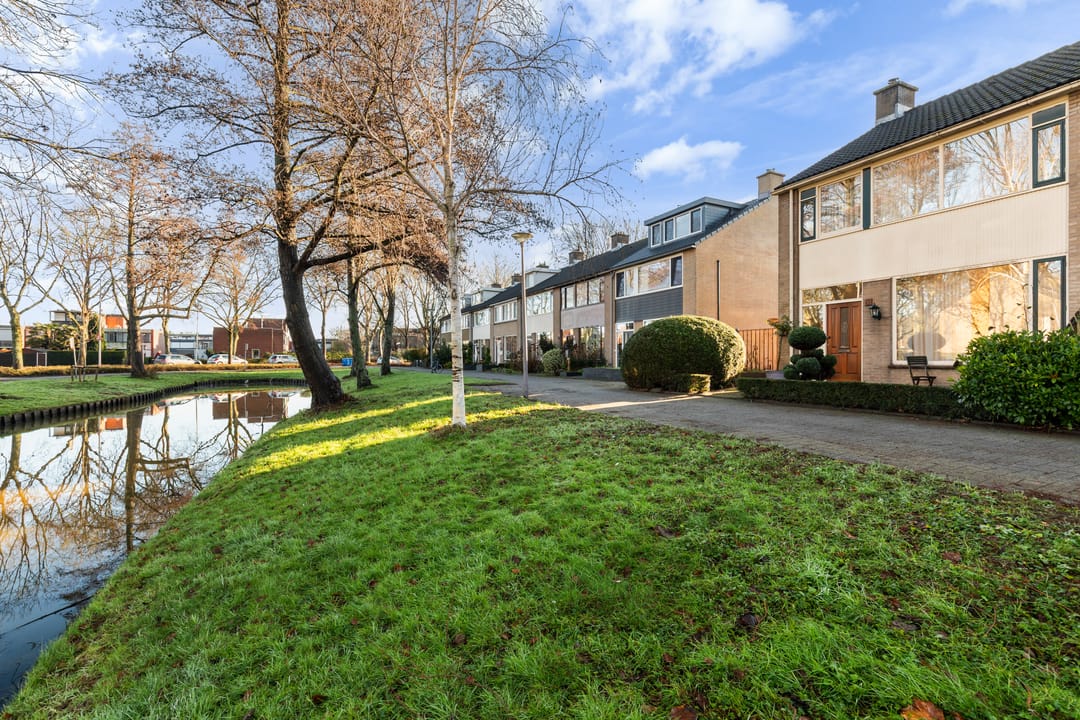 Foto 46 van Pinksterbloem 8