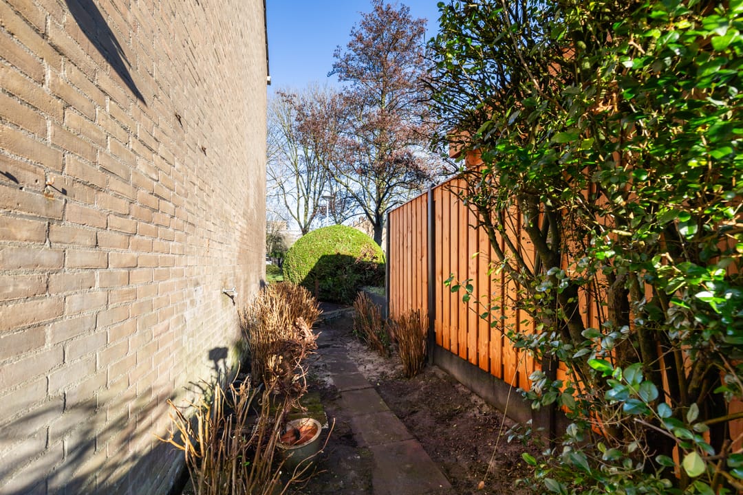 Foto 47 van Pinksterbloem 8