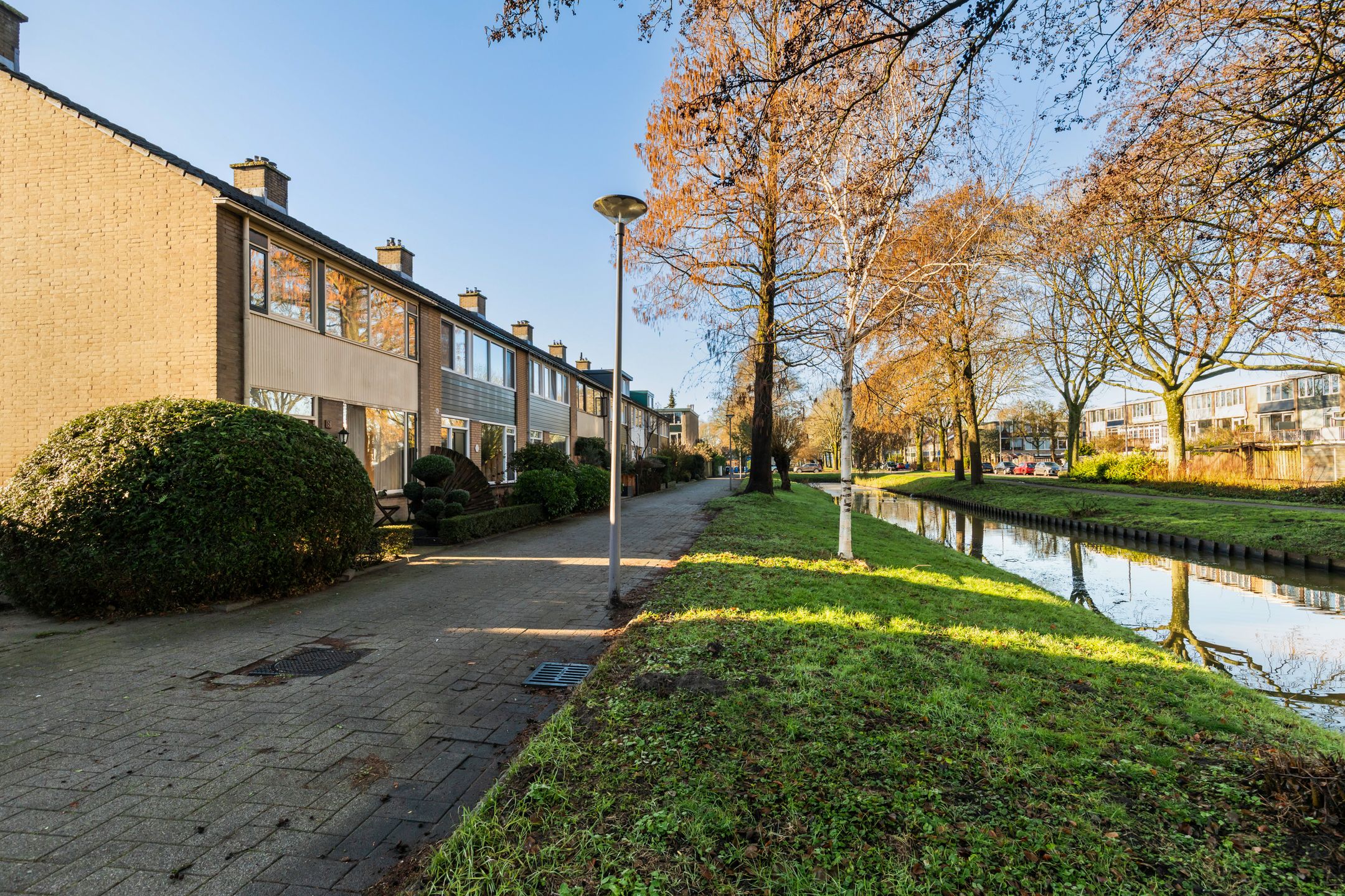 Foto 48 van Pinksterbloem 8