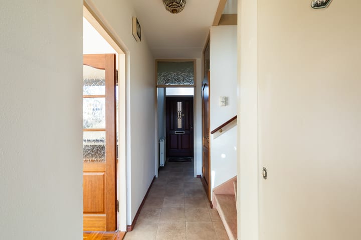 Foto 50 van Pinksterbloem 8