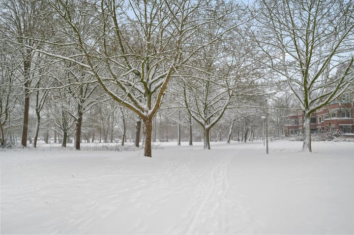 Foto 21 van Koningin Wilhelminalaan 81