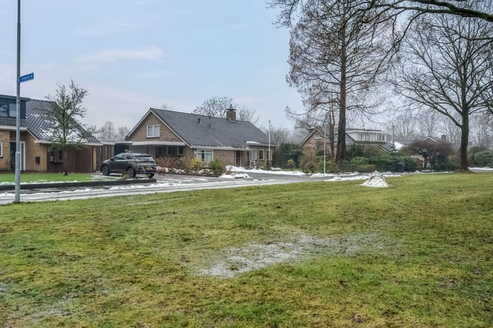 Foto 5 van Professor van der Leeuwplantsoen 27