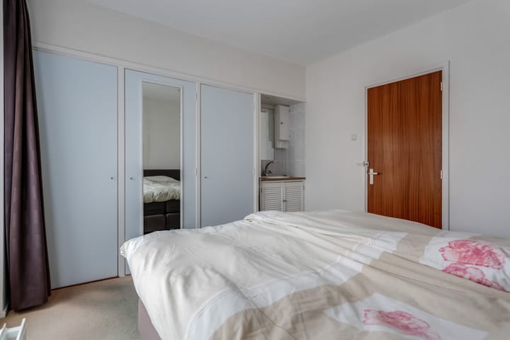 Foto 29 van Professor van der Leeuwplantsoen 27