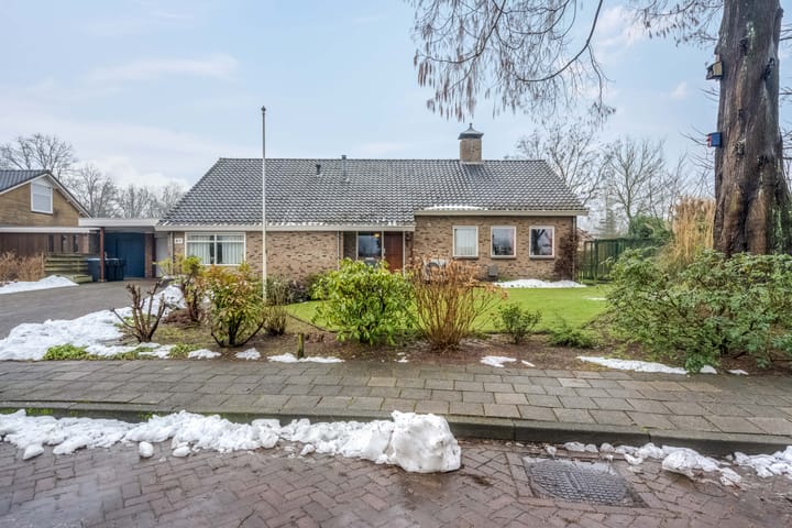 Foto 6 van Professor van der Leeuwplantsoen 27