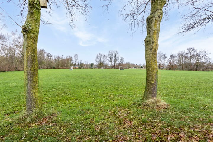 Foto 52 van De Streepen 9