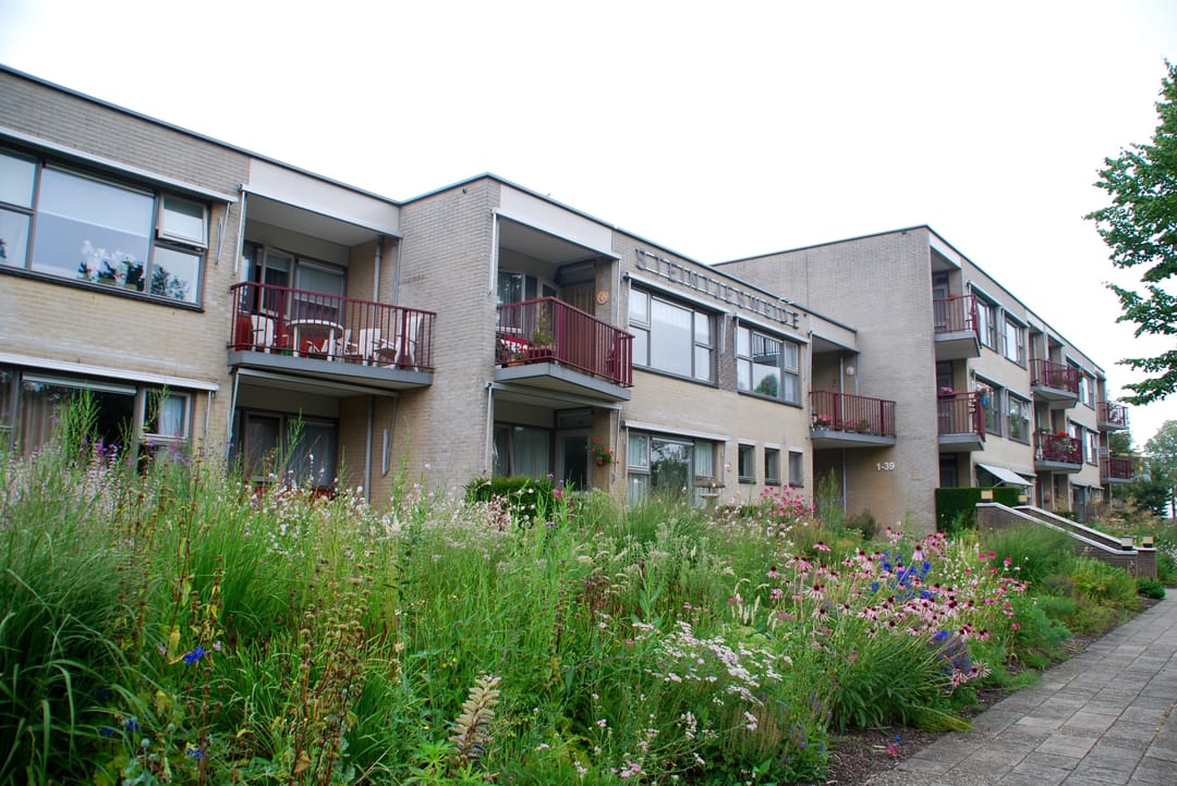 Foto 17 van Steintjesweide 11