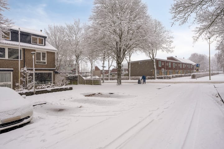 Photo 48 of Voorplecht 29