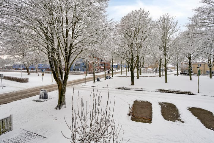 Photo 54 of Voorplecht 29