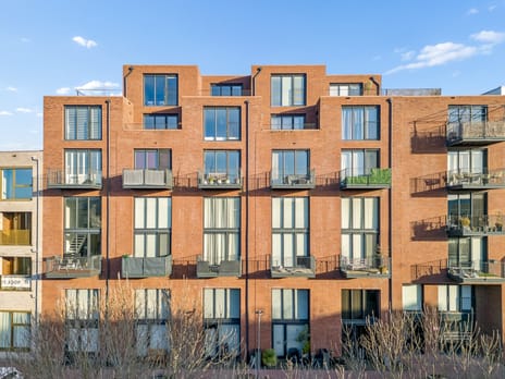 Agamemnonsingel thumbnail