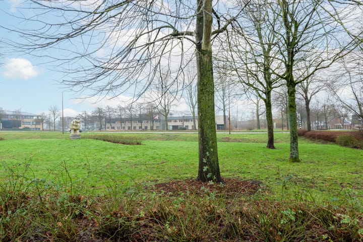 Foto 45 van Bernhardstraat 7