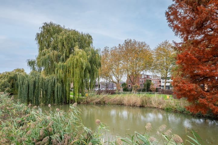 Foto 21 van Dr. Schaepmanstraat 12