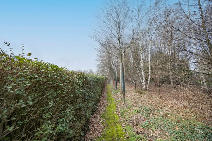 Foto 31 van Boslaan 10-C