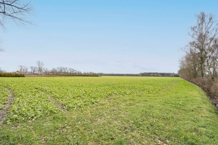 Foto 38 van Boslaan 10-C