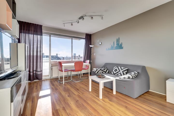 Foto 2 van Ir J.P. van Muijlwijkstraat 206