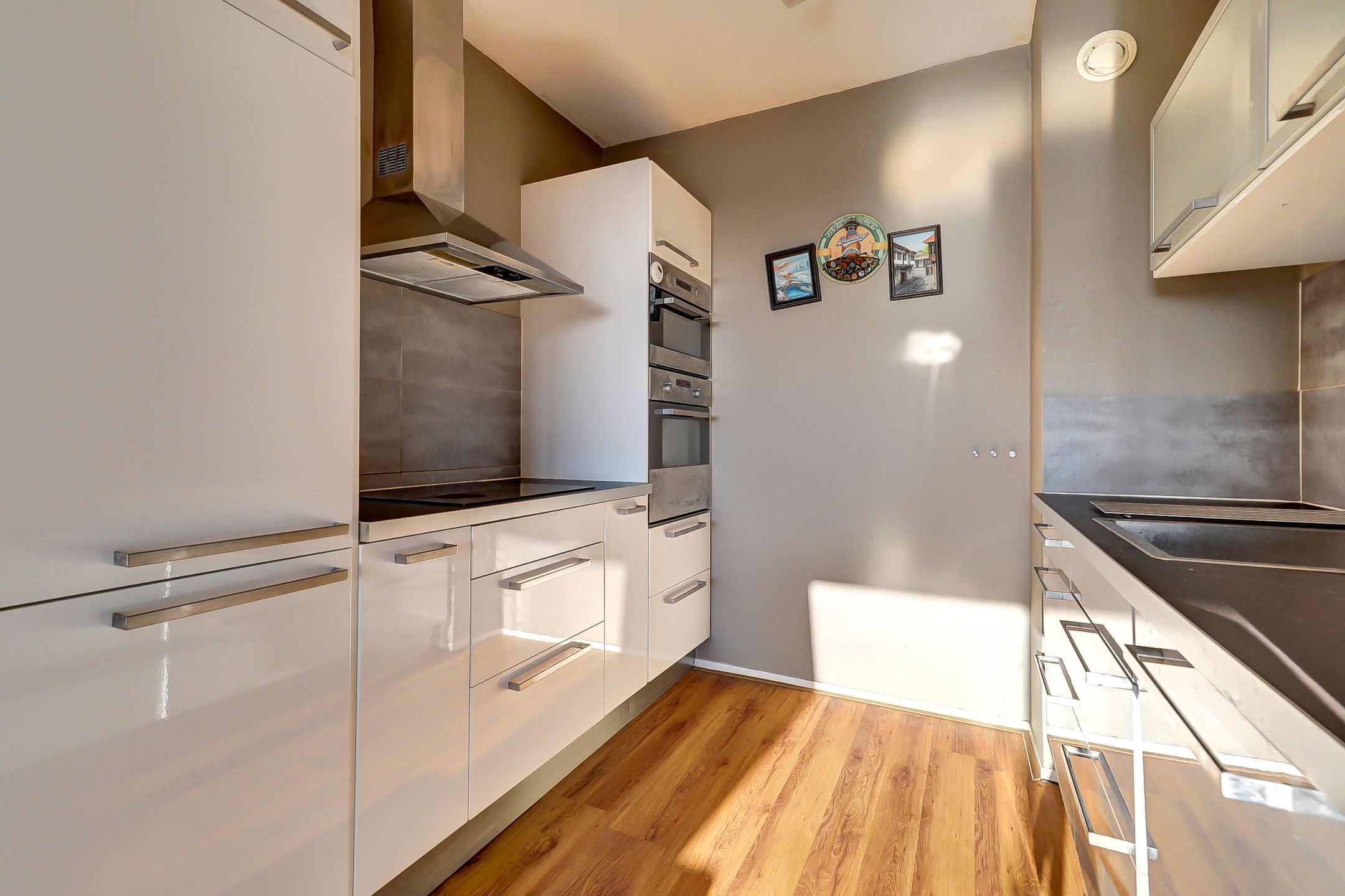 Foto 3 van Ir J.P. van Muijlwijkstraat 206