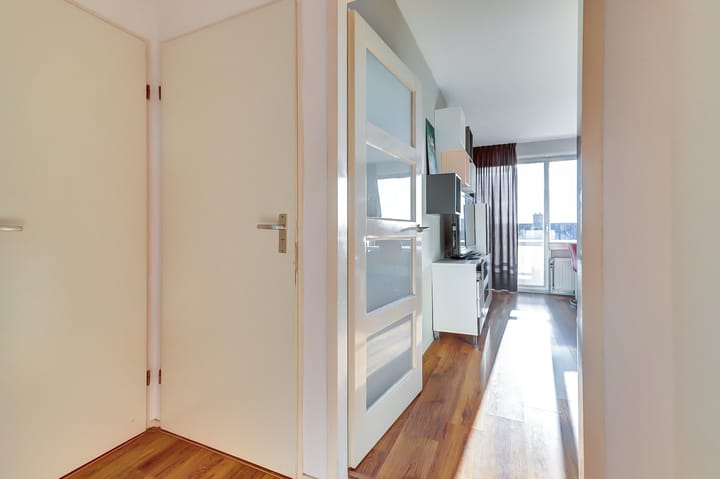 Foto 10 van Ir J.P. van Muijlwijkstraat 206